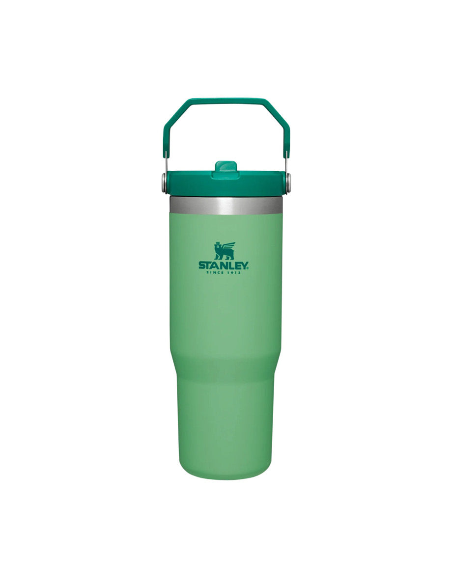 The Iceflow™ Flip Straw Tumbler | 30 OZ