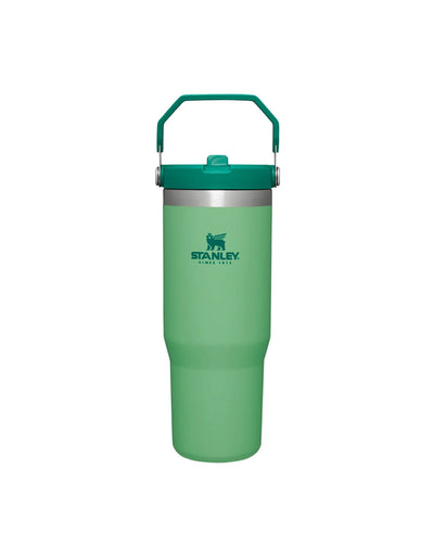 The Iceflow™ Flip Straw Tumbler | 30 OZ