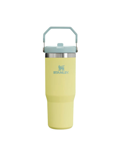 The Iceflow™ Flip Straw Tumbler | 30 OZ