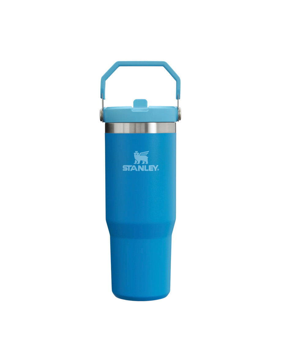 The Iceflow™ Flip Straw Tumbler | 30 OZ