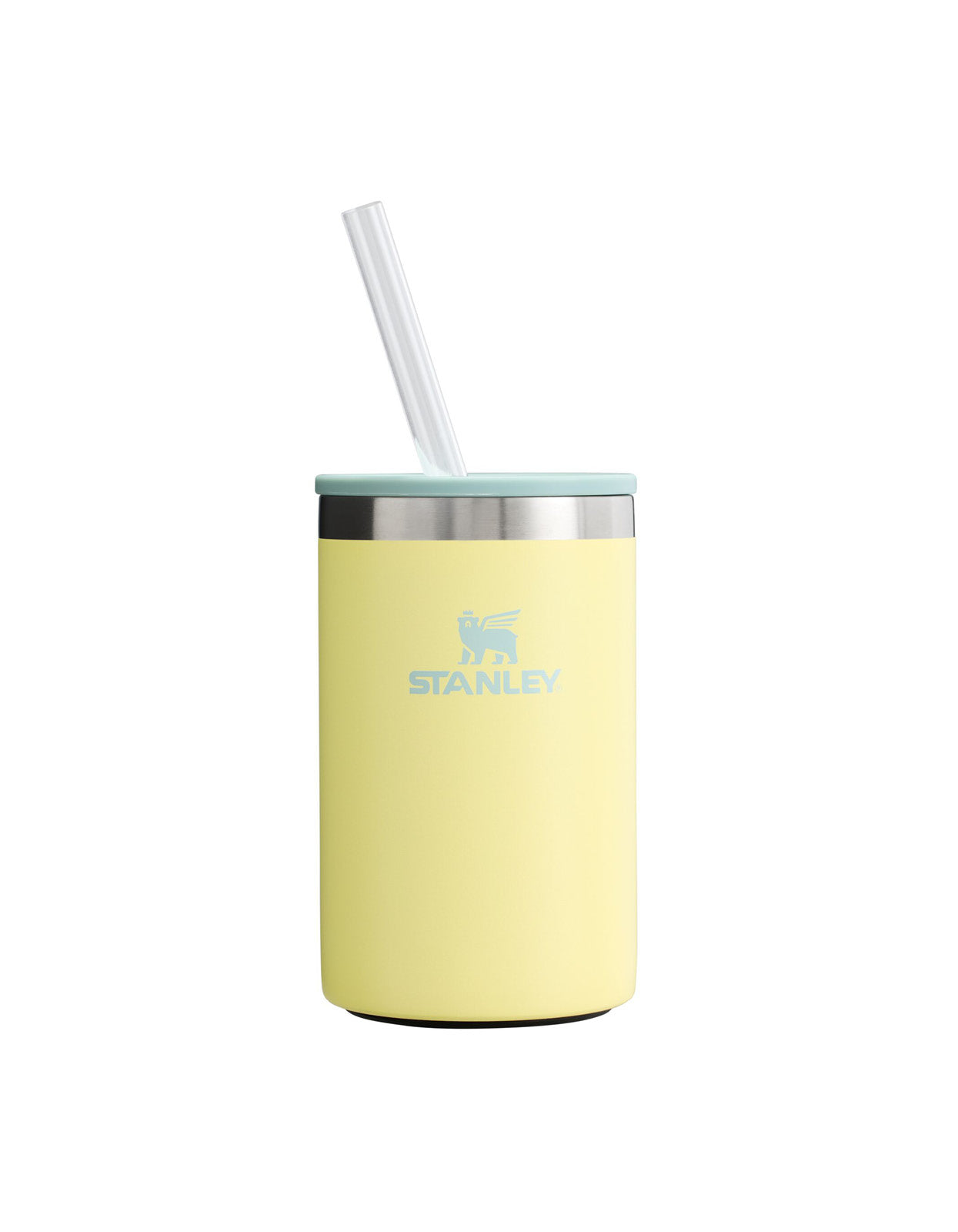 The Everyday Can Cooler Cup | 10OZ