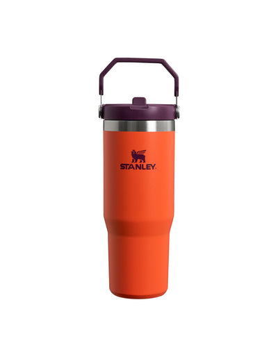 The Iceflow™ Flip Straw Tumbler | 30 OZ