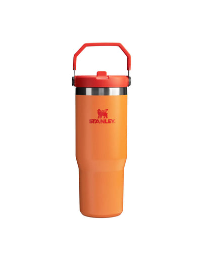 The IceFlow™ Flip Straw Tumbler | 30 OZ